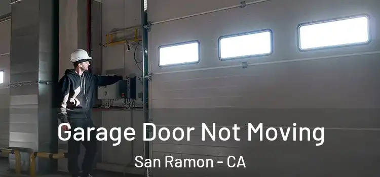  Garage Door Not Moving San Ramon - CA